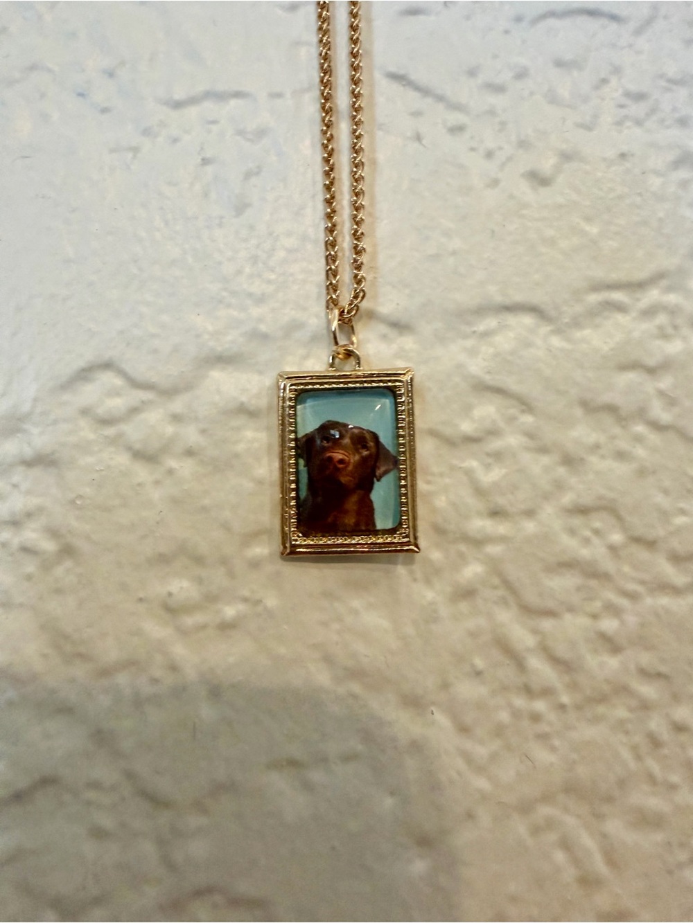 Gold-Tone Dog Portrait Pendant Necklace - Brown Dog